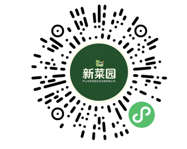 新菜园小程序二维码